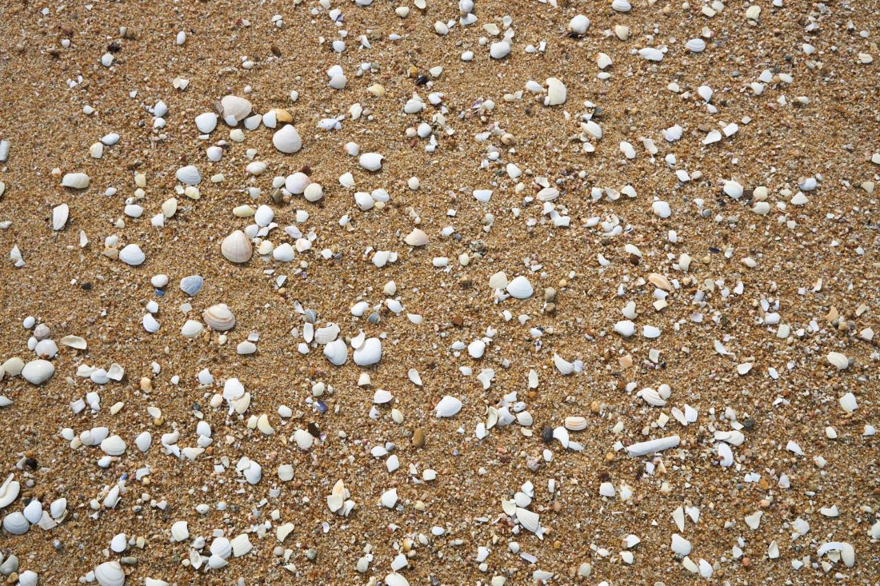 Apart@Costasantoandre Beach Santiago do Cacém Eksteriør bilde