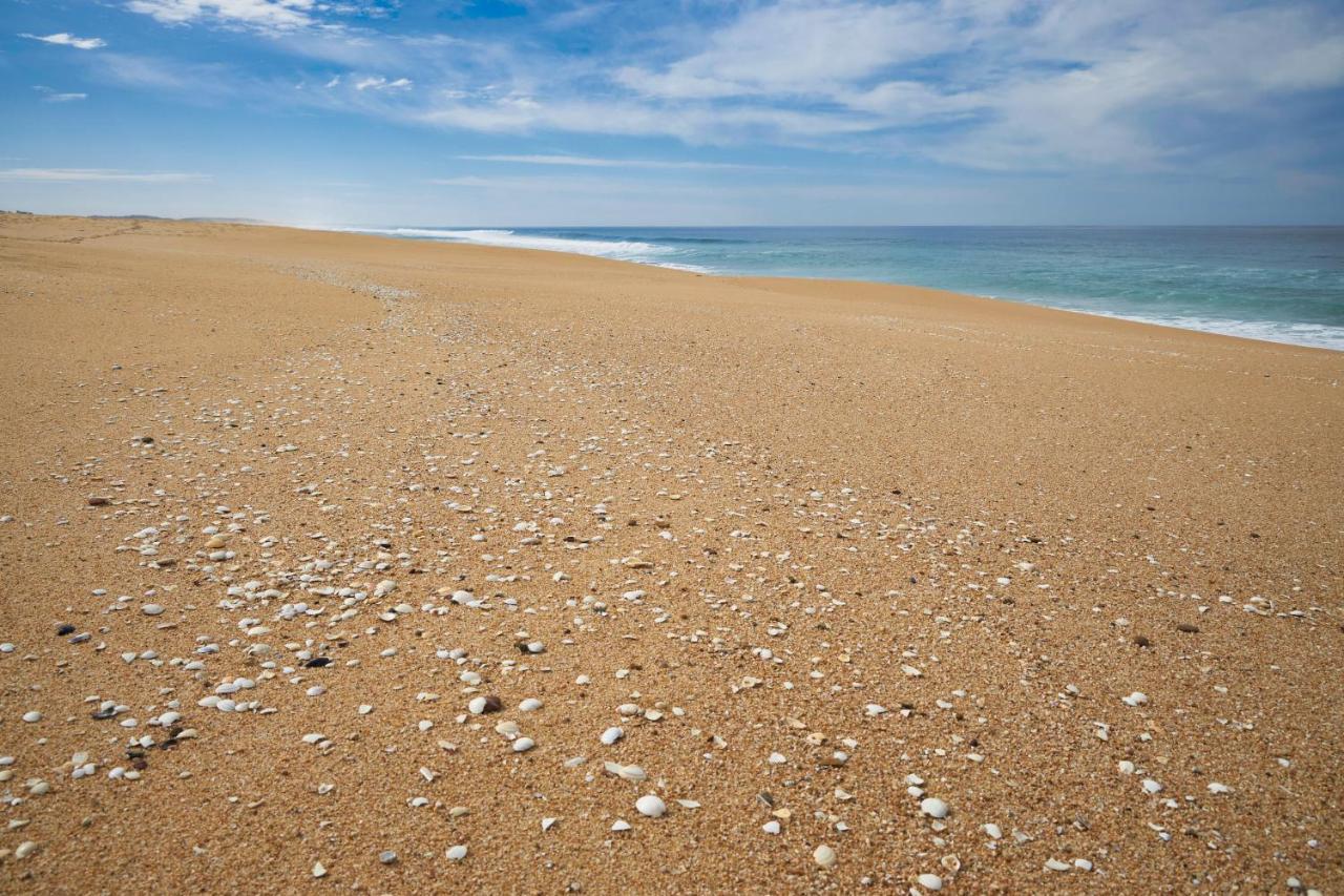 Apart@Costasantoandre Beach Santiago do Cacém Eksteriør bilde